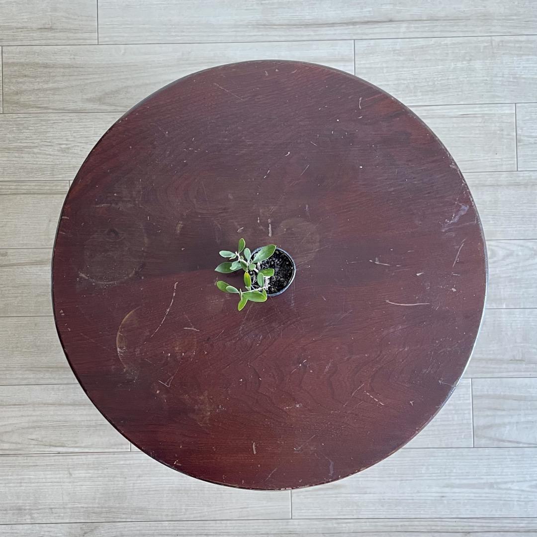 昭和レトロなアンティークちゃぶ台