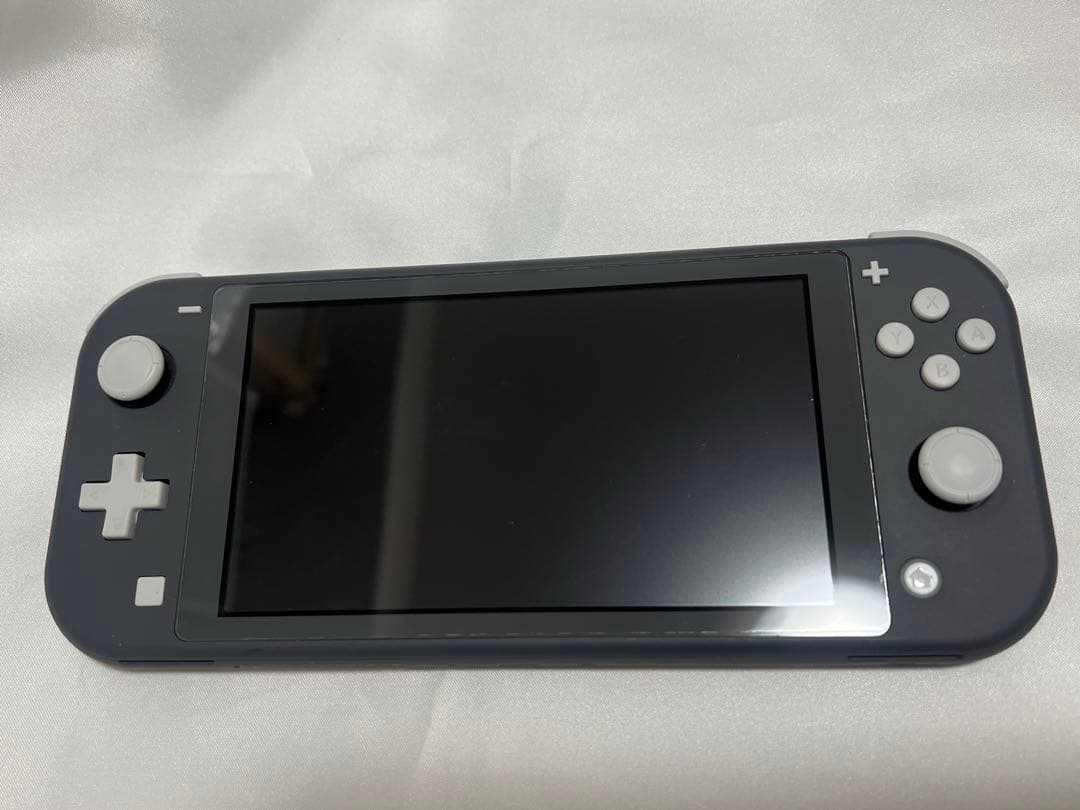 Nintendo Switch Lite グレー 本体 各種カバー付
