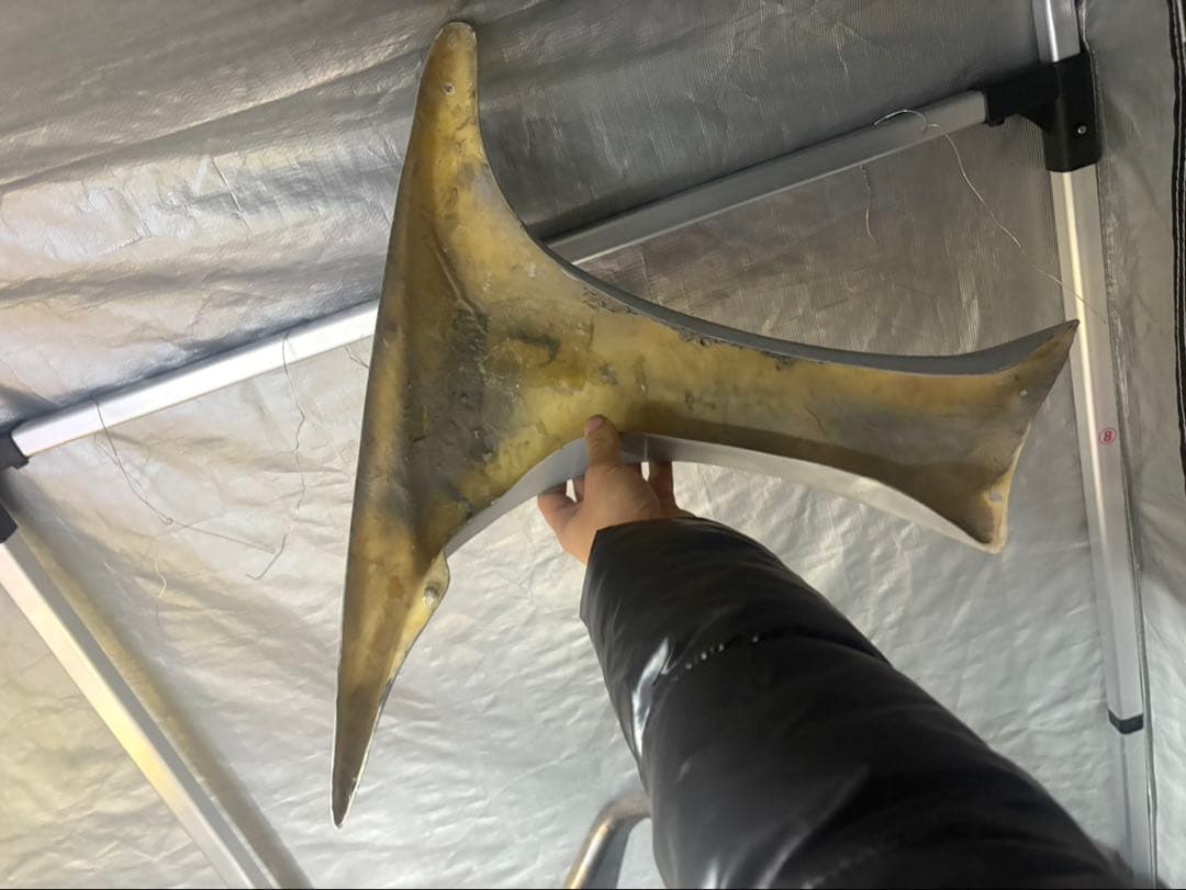 ライブディオ用 紫紋系エアロ一式（AF34/35/ZX対応）