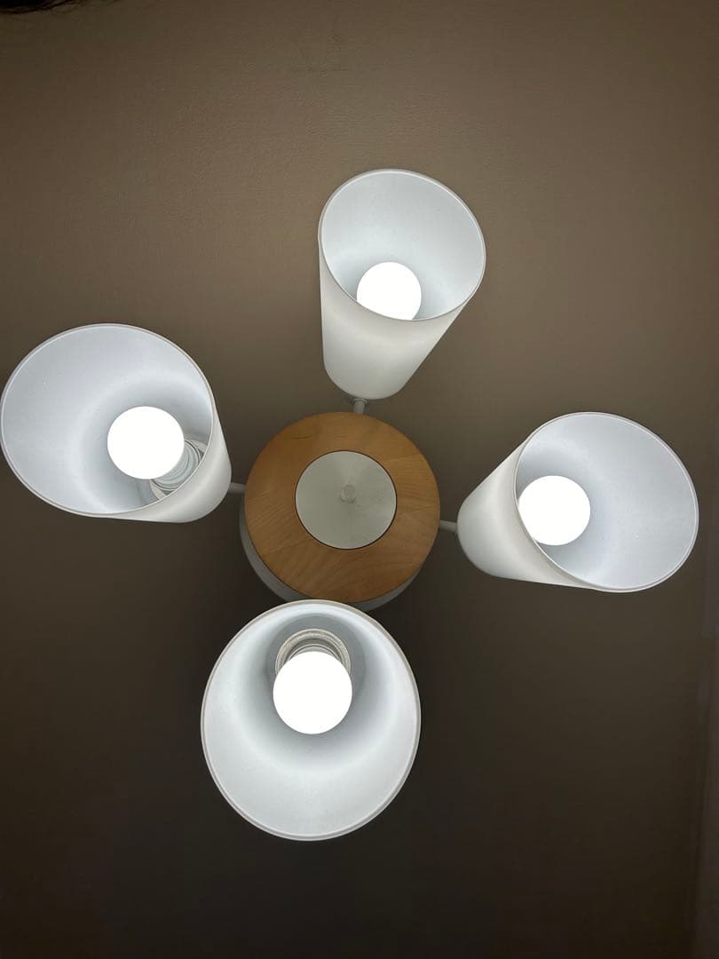 コイズミ照明 KOIZUMI LEDシャンデリア AA42070L