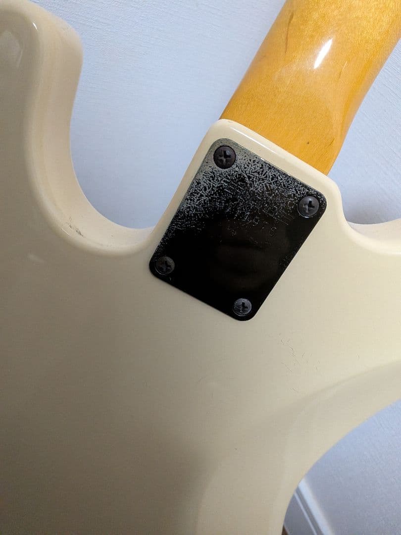 Fernandes Limited Edition　ソフトケース新品弦付きます