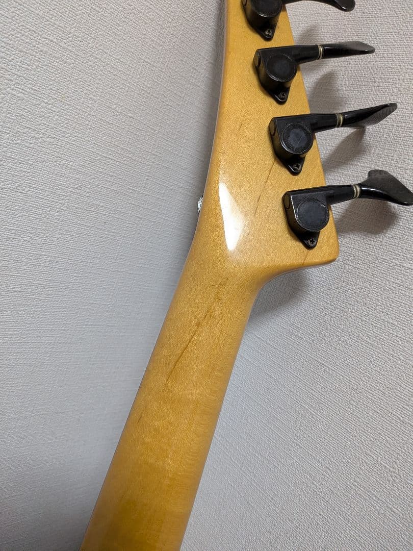 Fernandes Limited Edition　ソフトケース新品弦付きます