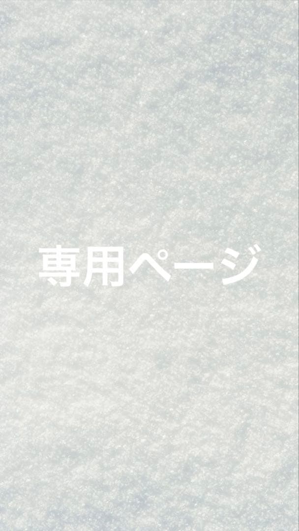 ファイル・バインダー・ケース 73