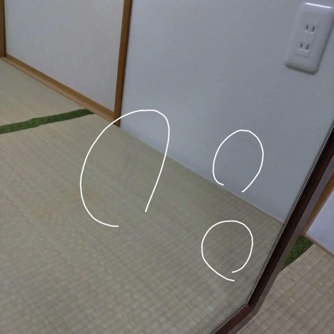 鏡　ミラー　ドレッサー　Sri Tokai