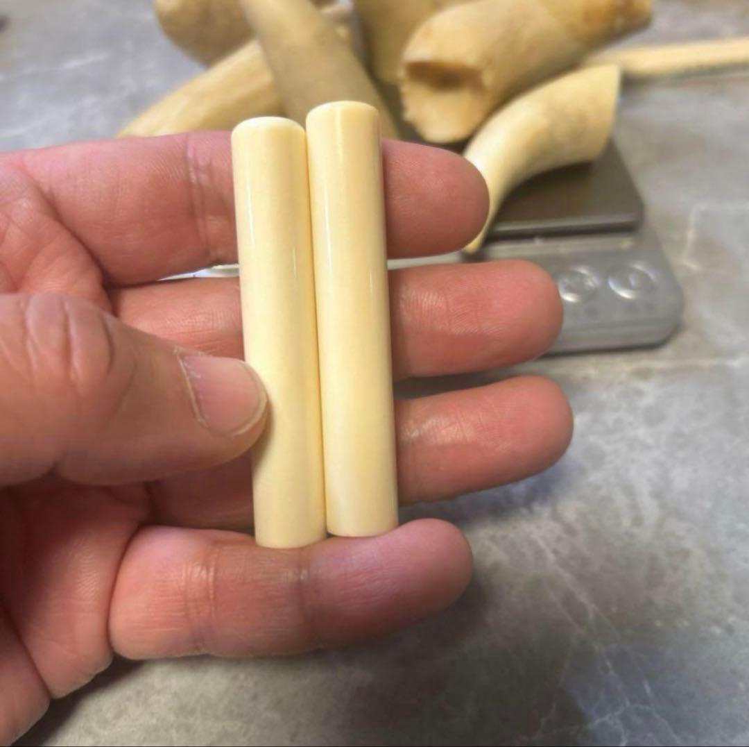 シャ　鯨歯　印材