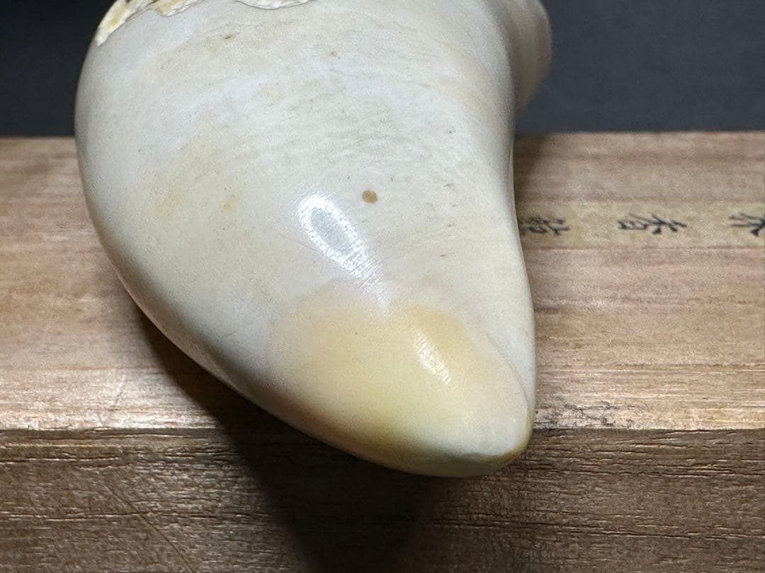 鯨歯　マッコウクジラ　天然素材　アンティーク　骨董　飾り物　古美術品　 置物
