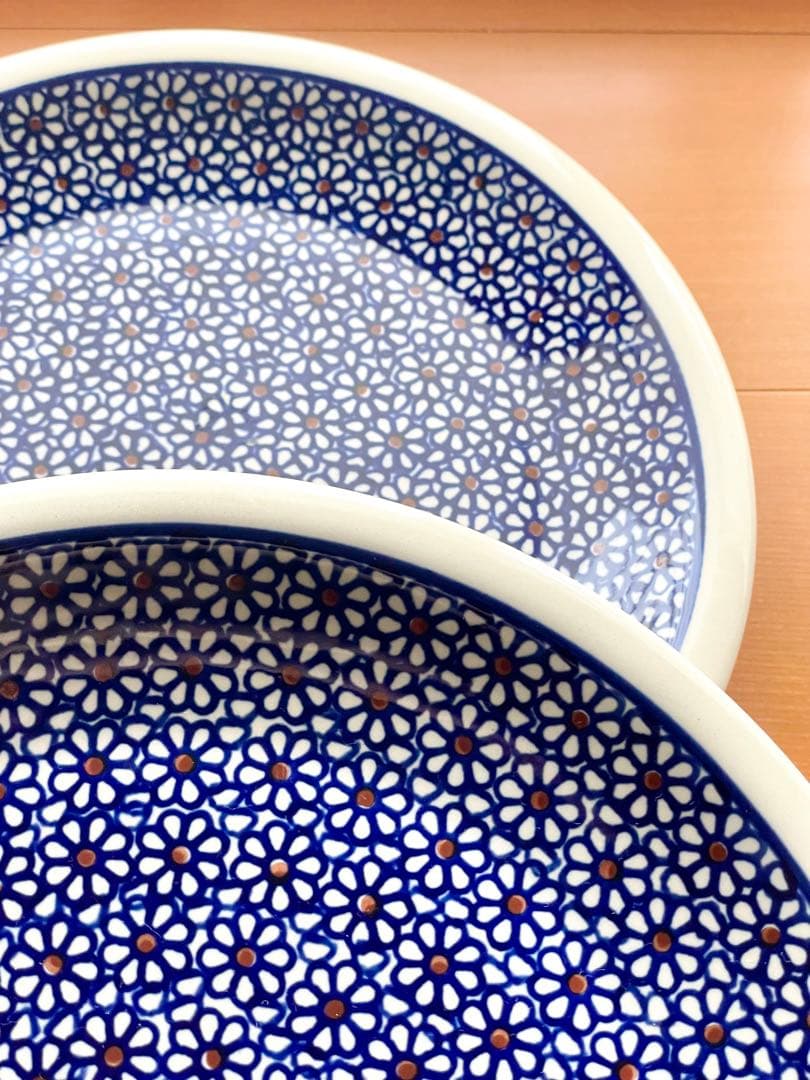 ポーランド食器 24cm プレート 2枚セット ポーリッシュポタリー