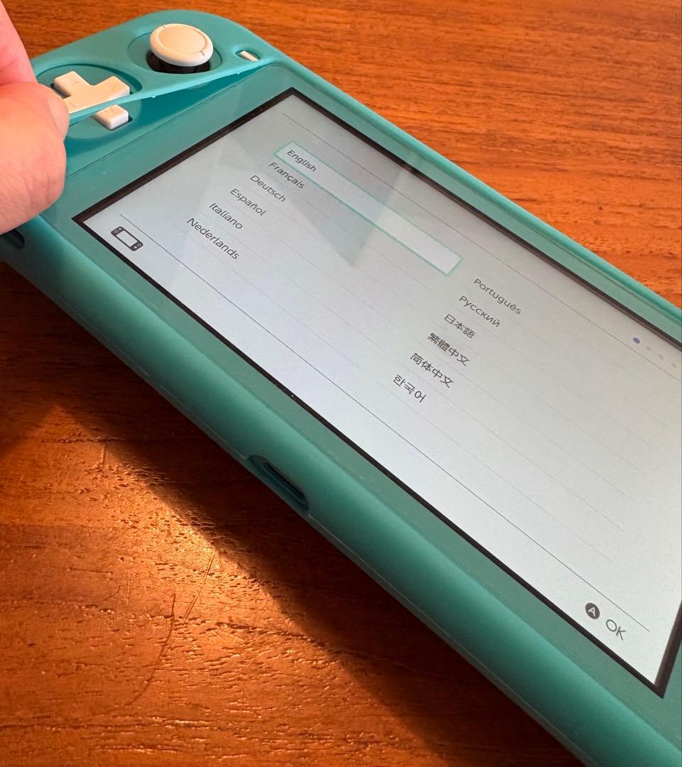 [美品]Nintendo Switch Lite 本体 充電器・ケース付き