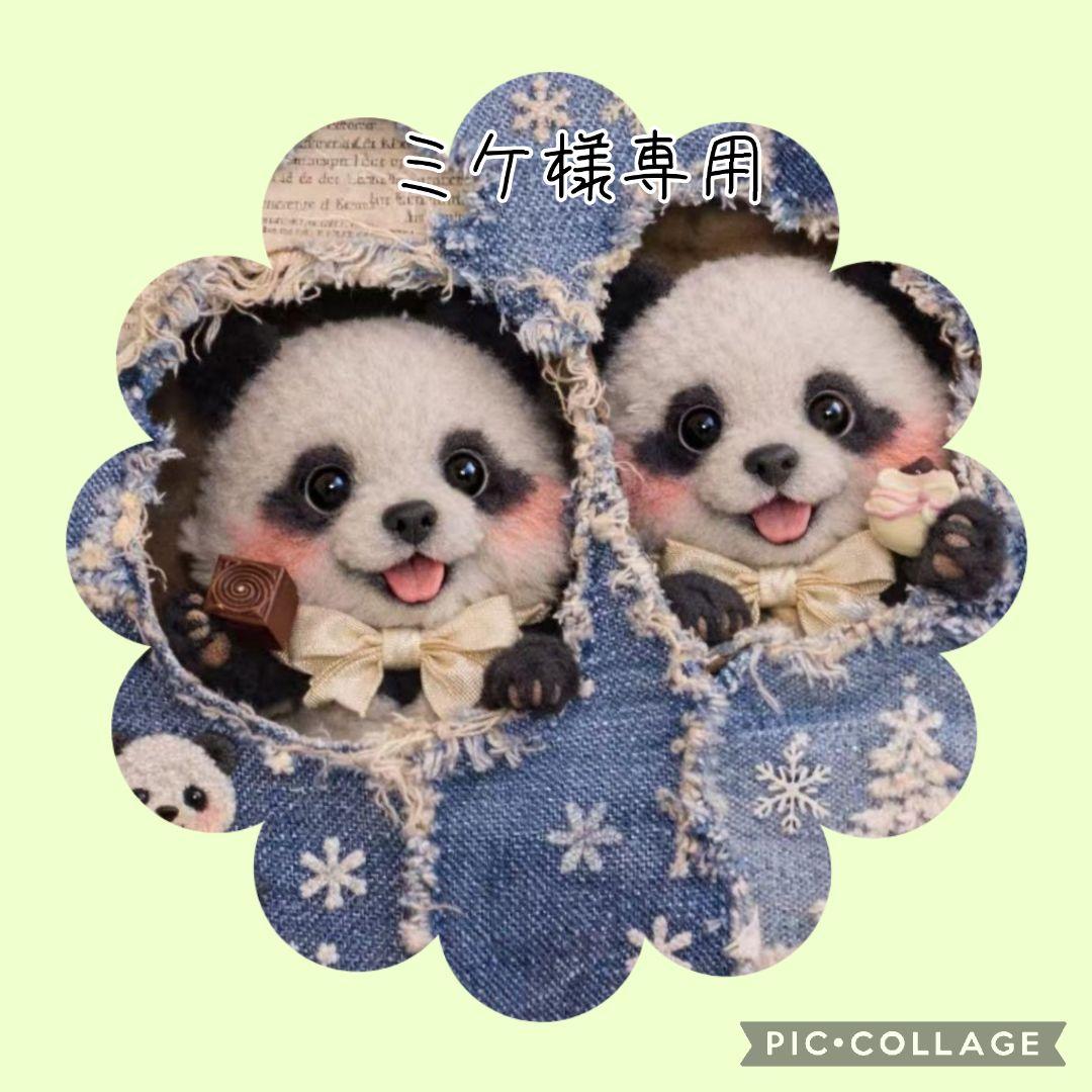 【1月】ミケ