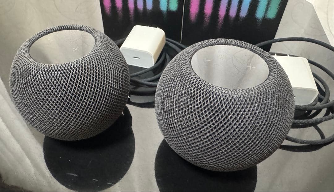 T*a様 APPLE Pod Mini スペースグレイ 2個セット