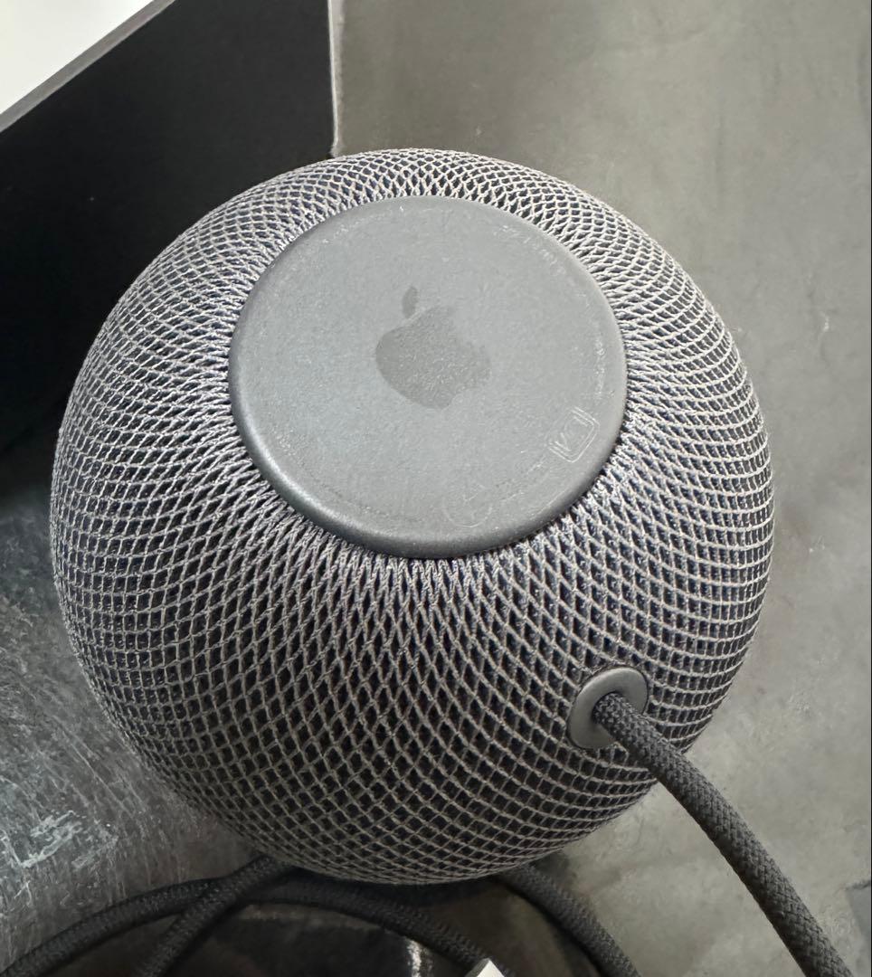 T*a様 APPLE Pod Mini スペースグレイ 2個セット