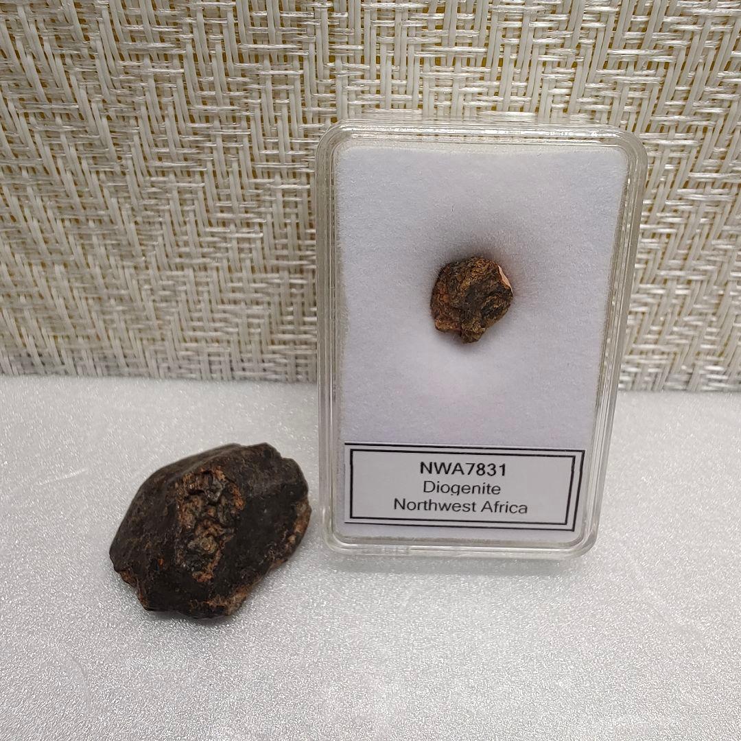 NWA869/NWA7831 サハラ隕石&ダイオジェナイト石隕石 NO.371