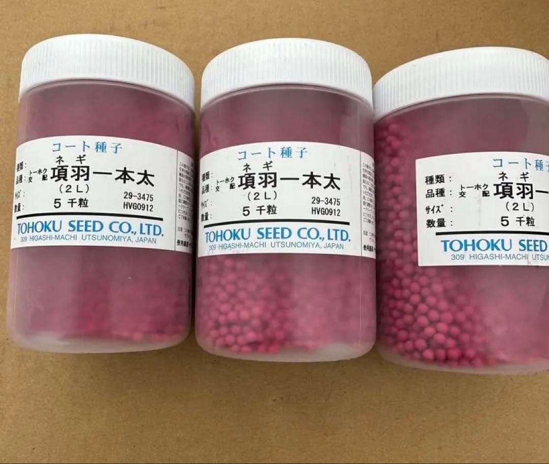 ネギ種　項羽一本太　15000粒