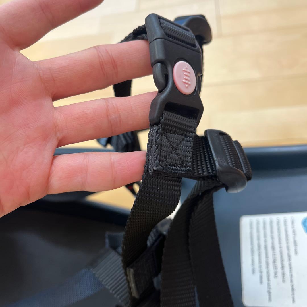 バディーライダー