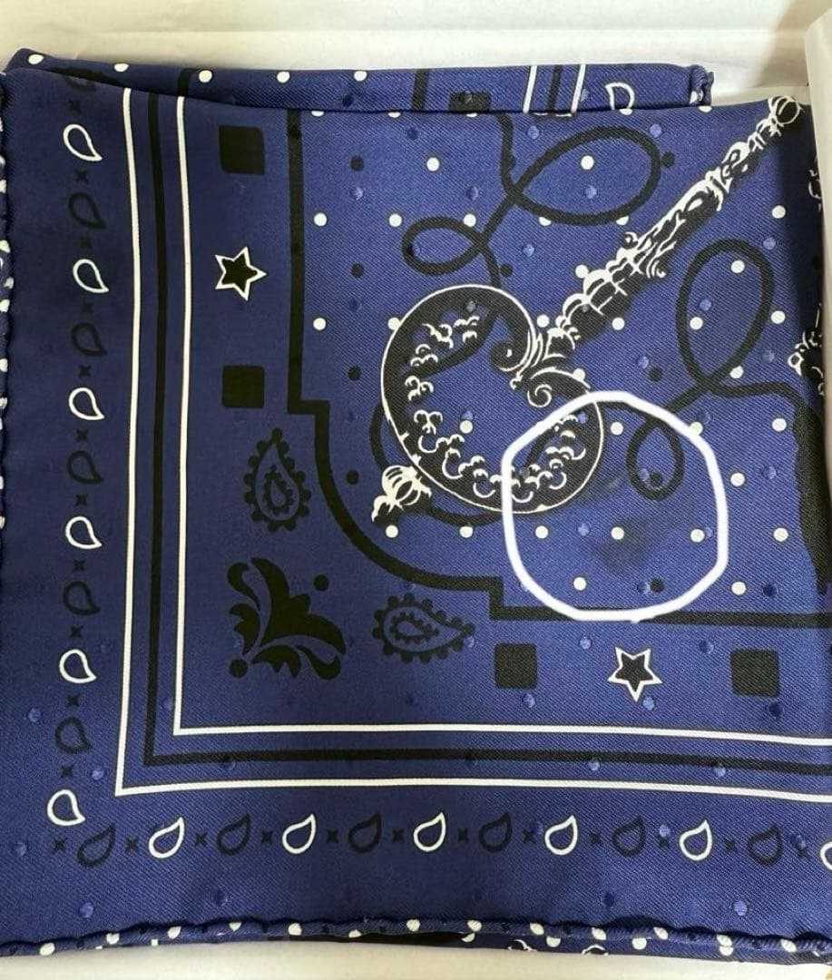 HERMES カレ55