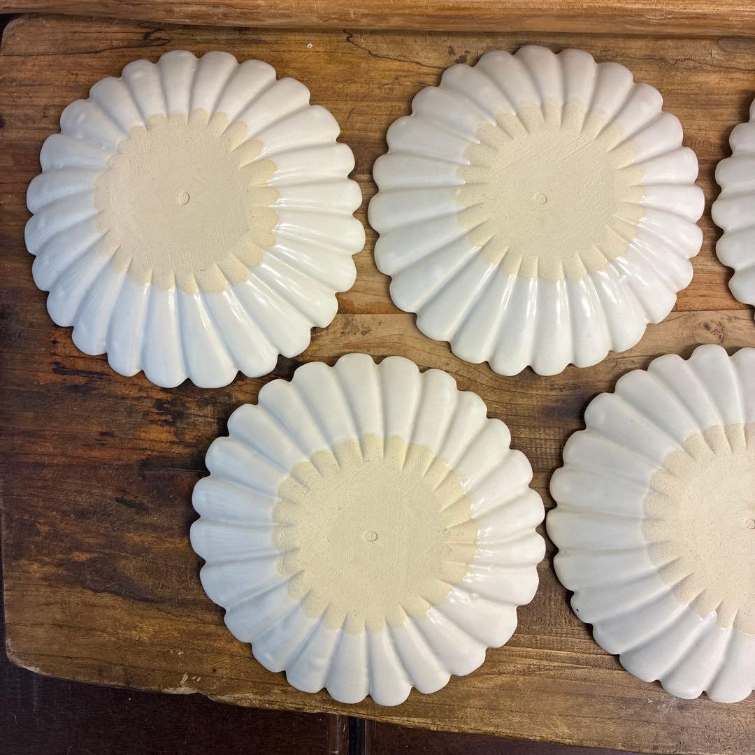 ちゃーさん新品　陶器　陶芸作家　輪花皿8枚　555