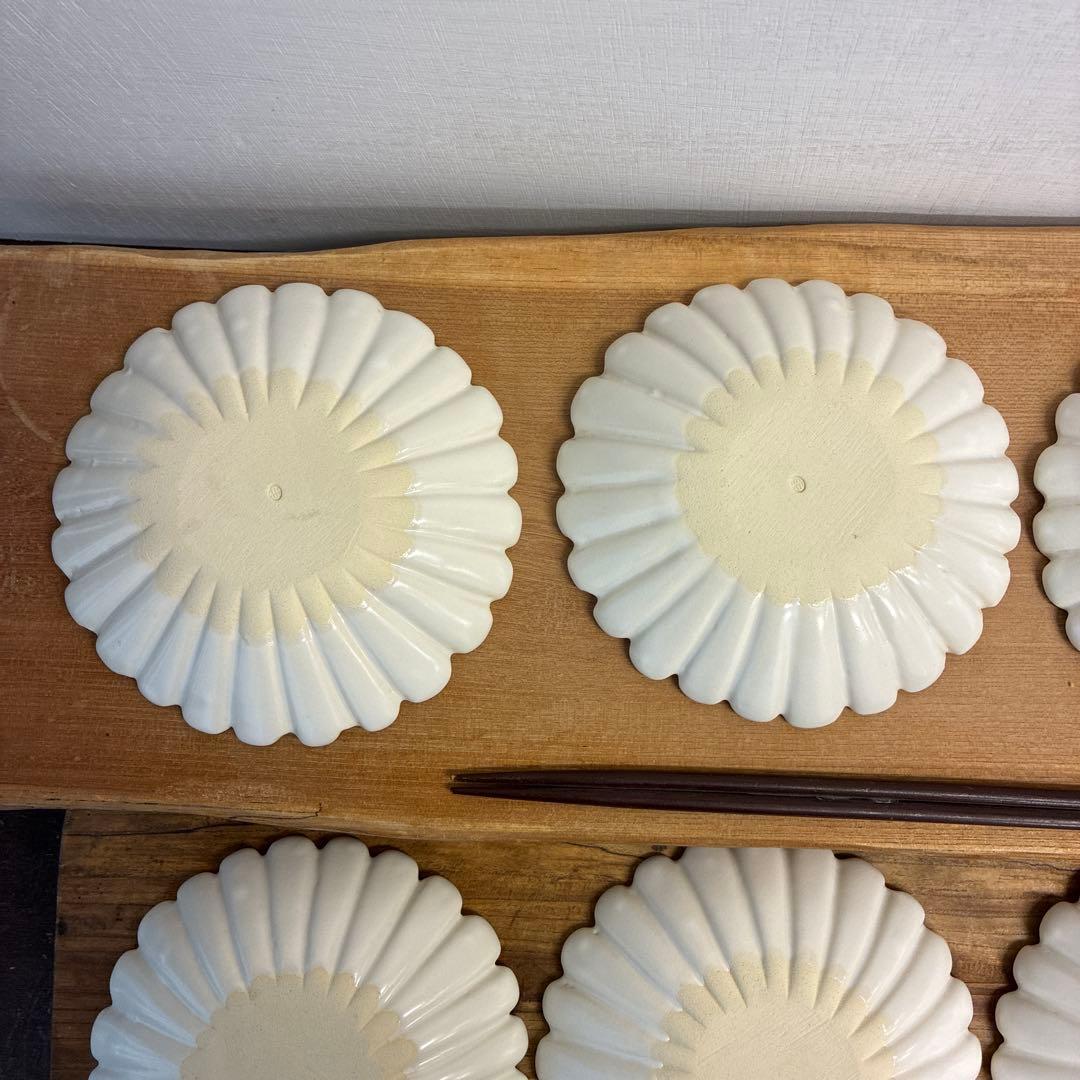 ちゃーさん新品　陶器　陶芸作家　輪花皿8枚　555
