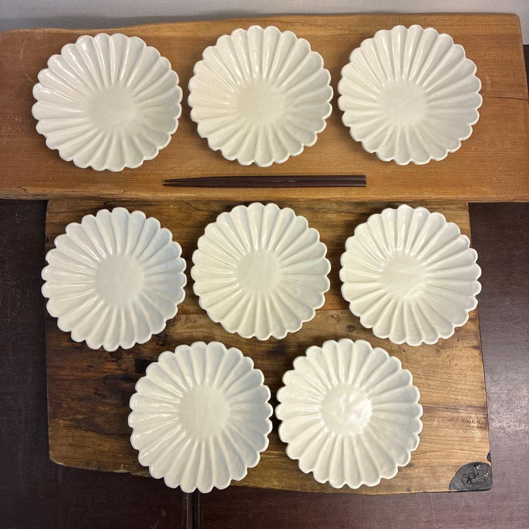 ちゃーさん新品　陶器　陶芸作家　輪花皿8枚　555