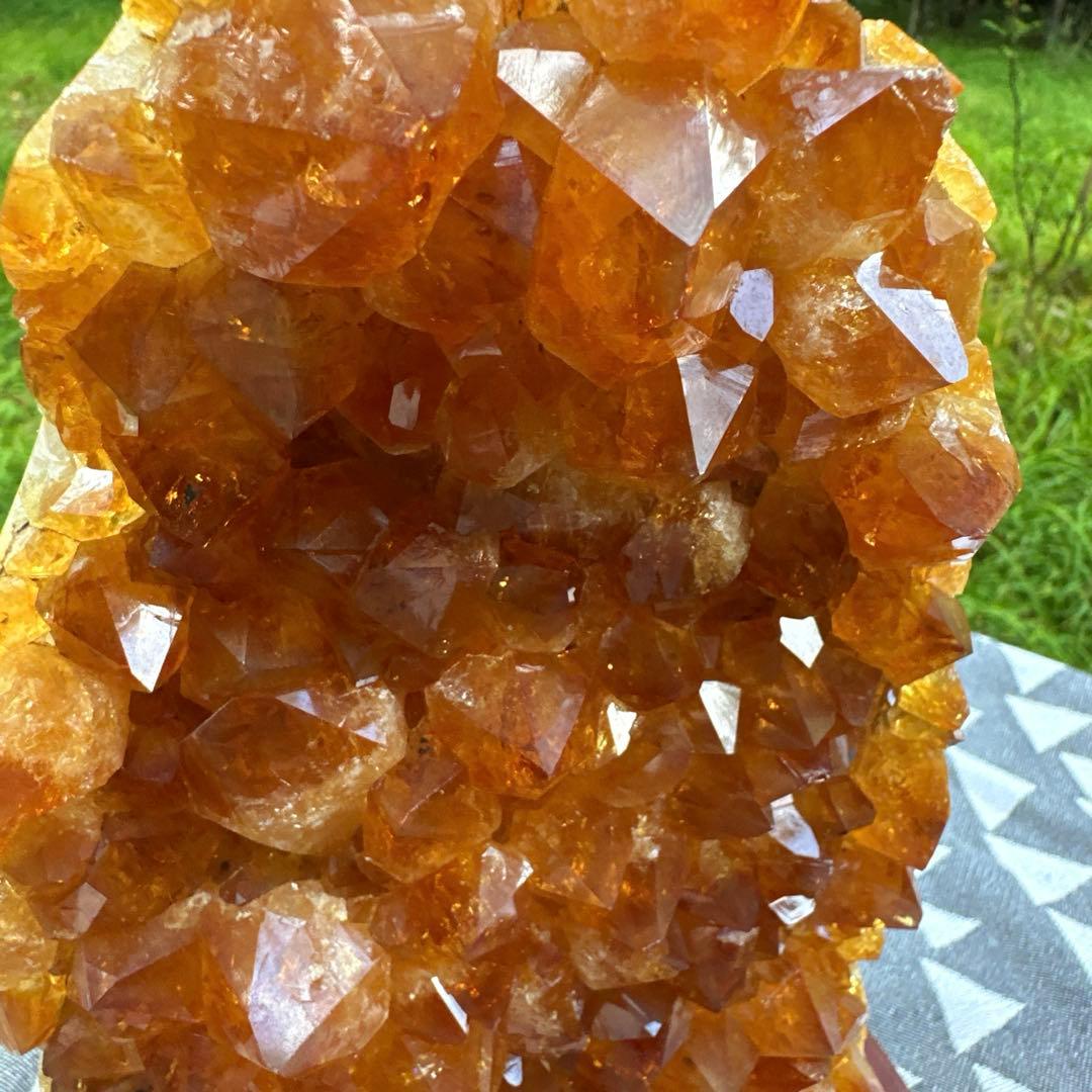 特価　シトリンクラスター　40