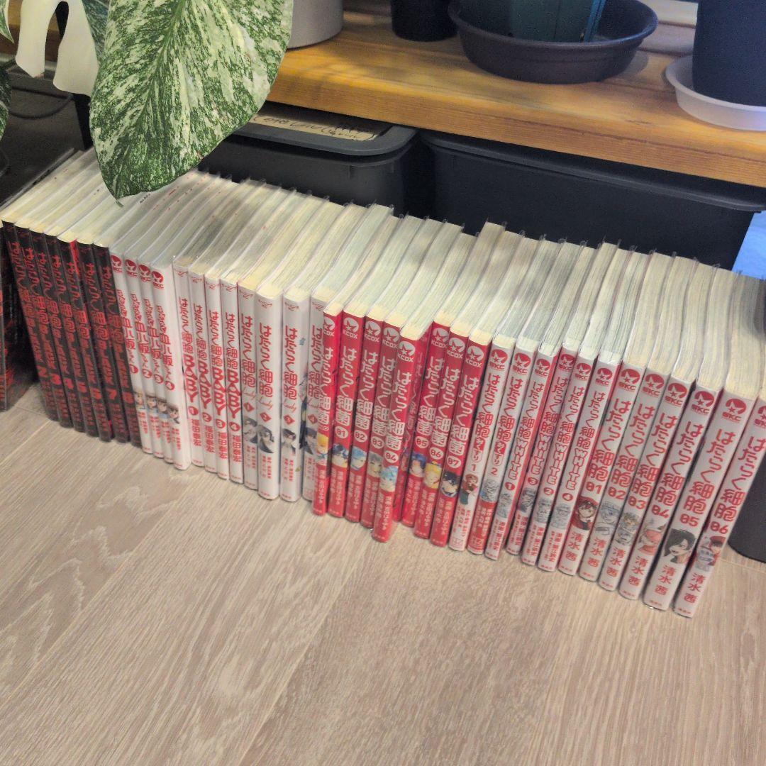 さ*こ様 はたらく細胞 全巻セット　black　血小板　lady　細菌　おくすり