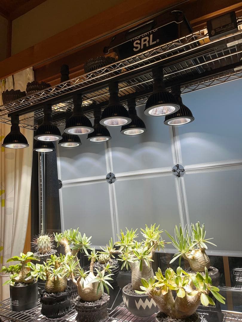 ルミナス メタルラック 植物棚 ダクトレール付き　25㎜