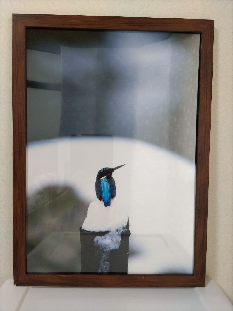 カワセミの写真 木製フレーム付き