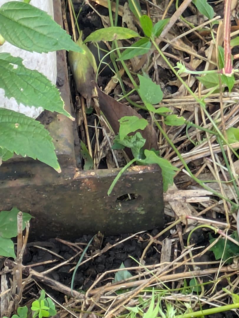 【埼玉引取限定】レトロ☆プレハブ❓ハウス