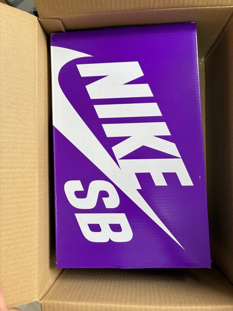 最終値下げNike SB Air Max 95 Cactus Flower 26