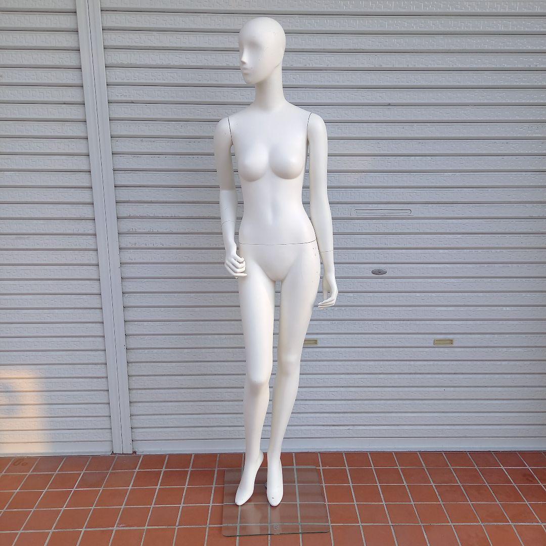 レディースマネキン 180cm ANAYI-2 トルソー ディスプレイ 婦人