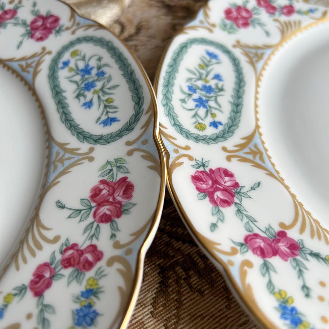 新品 フランス製 Bernardaud vigny❁ fleurディナー大皿ペア