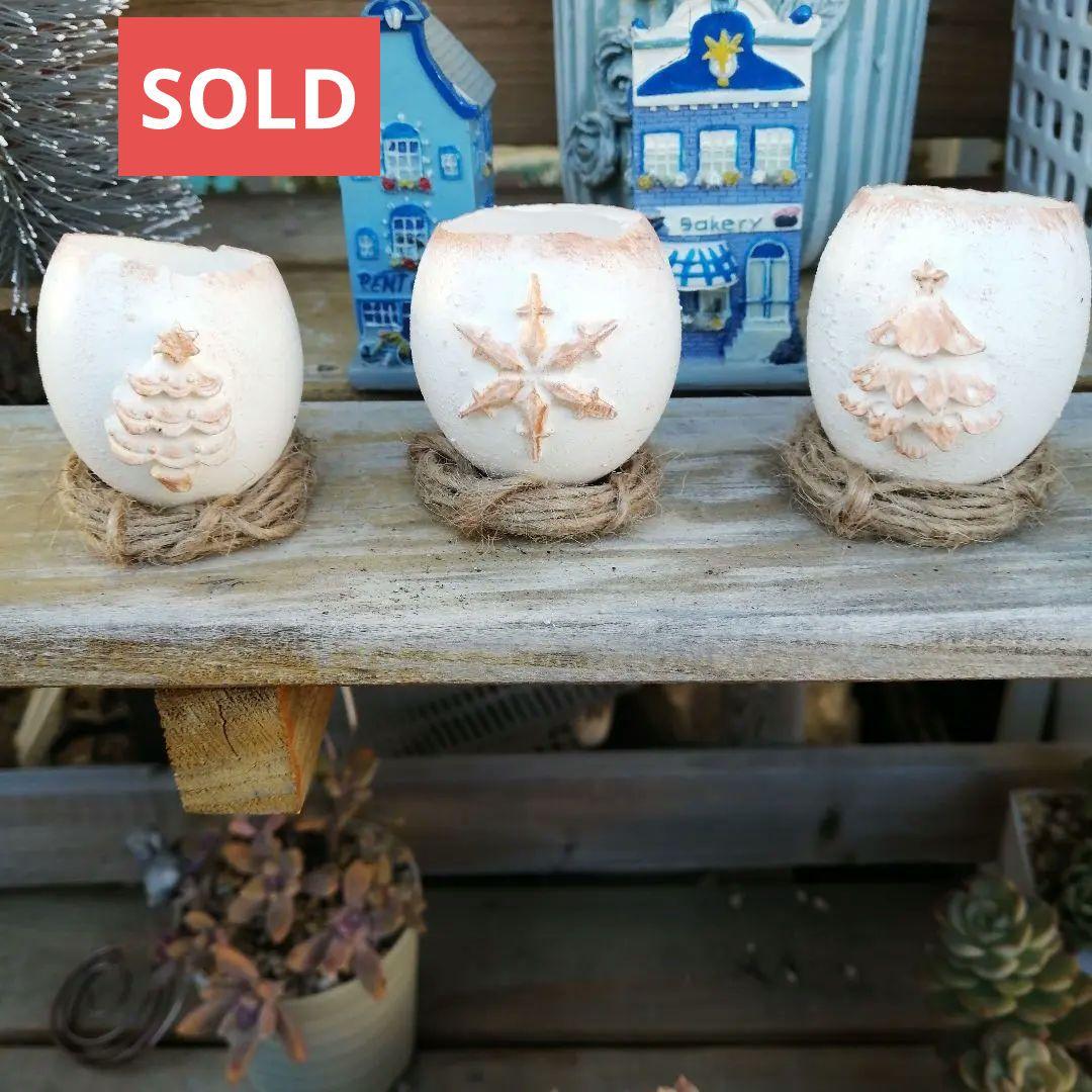 221. たまご鉢 3個　多肉植物　寄せ植え