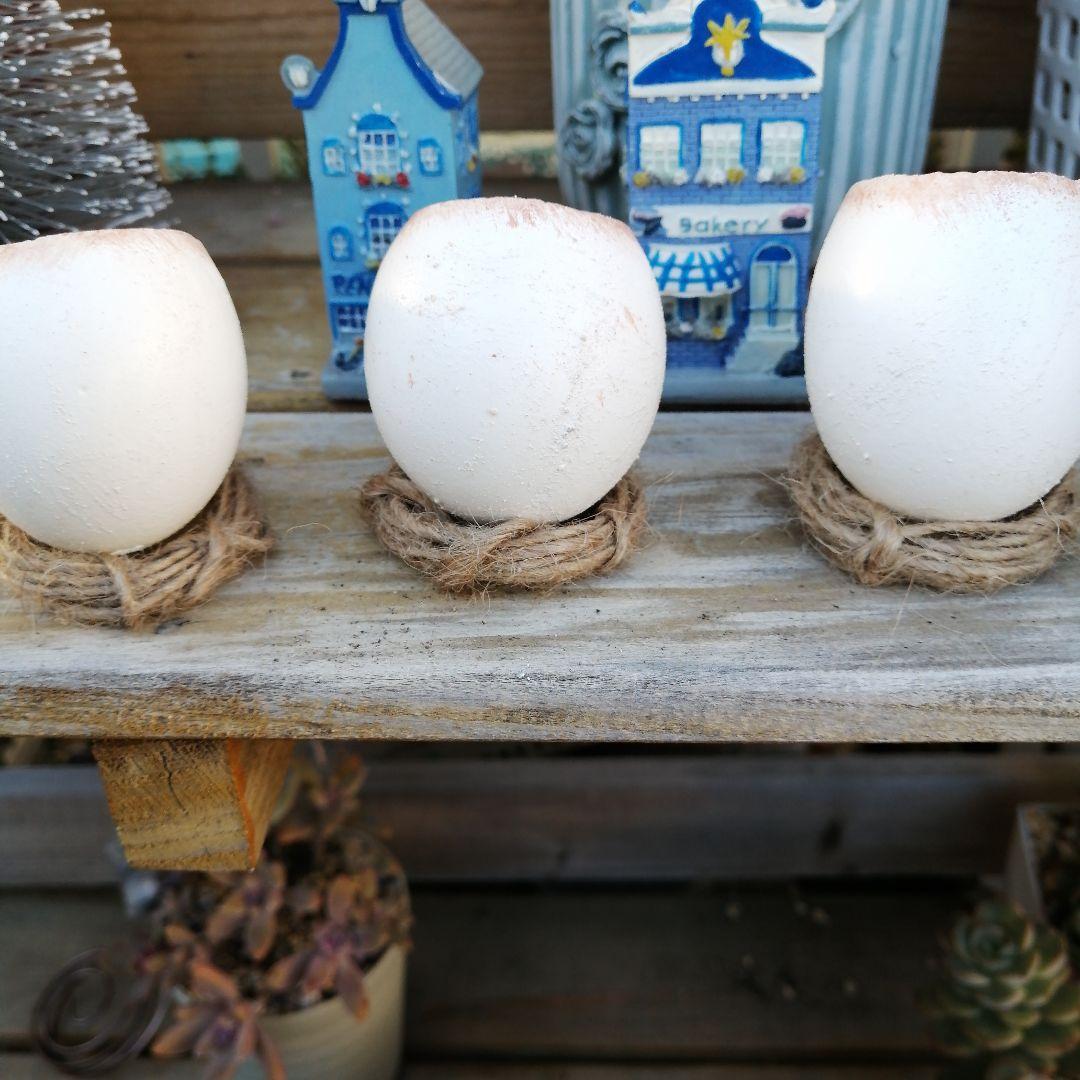 221. たまご鉢 3個　多肉植物　寄せ植え