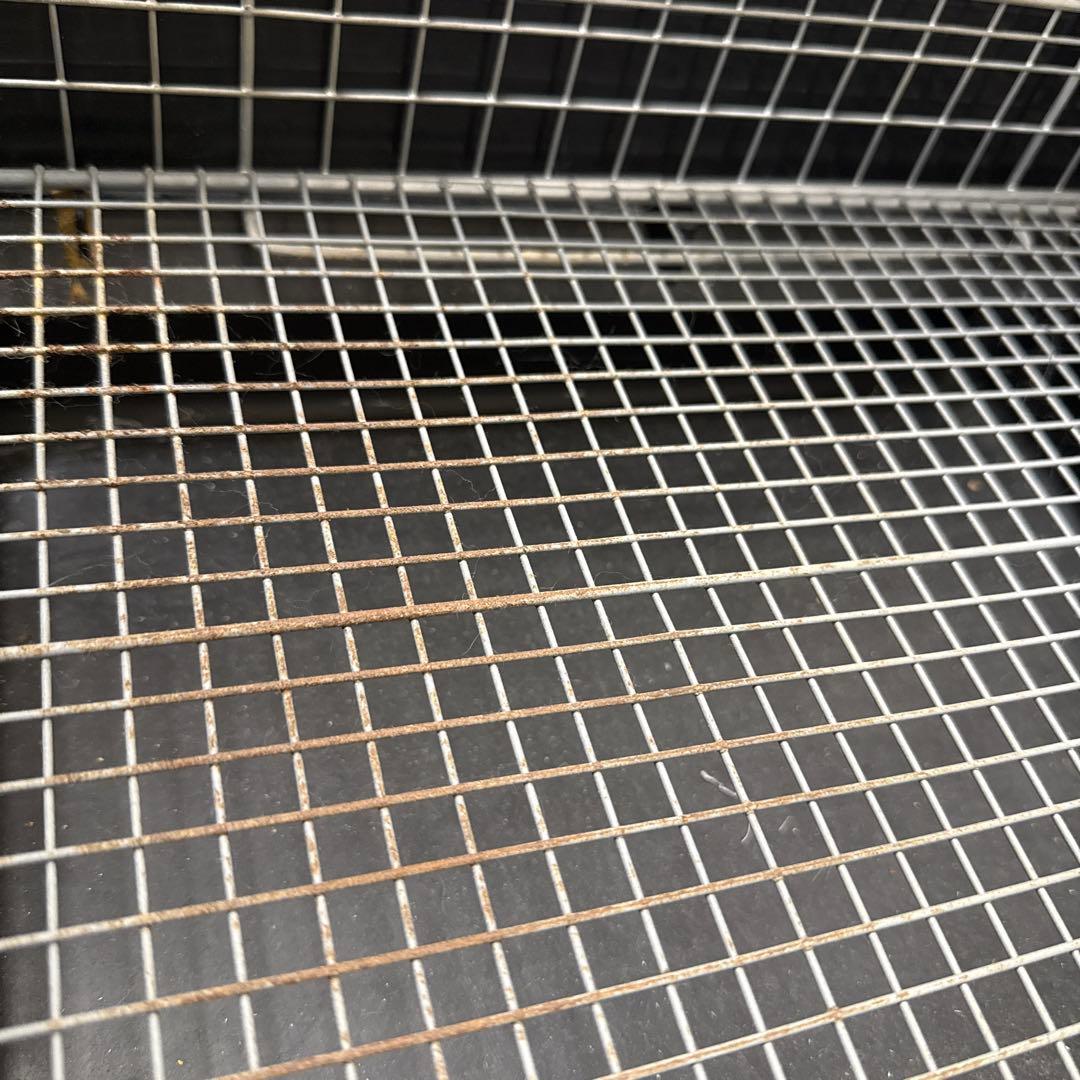 三晃商会 SANKO イージーホーム60 ハイメッシュ 小動物 ペットケージ