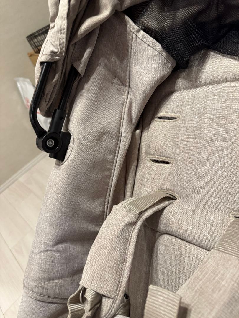 Air Buggy エアバギー ココダブルフロムバース