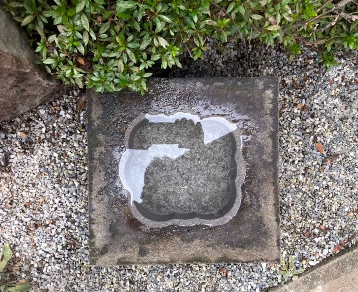 【自然石八重花柄模様水鉢・向鉢・蹲】バードバスガーデニング箱庭造園水石飾り石