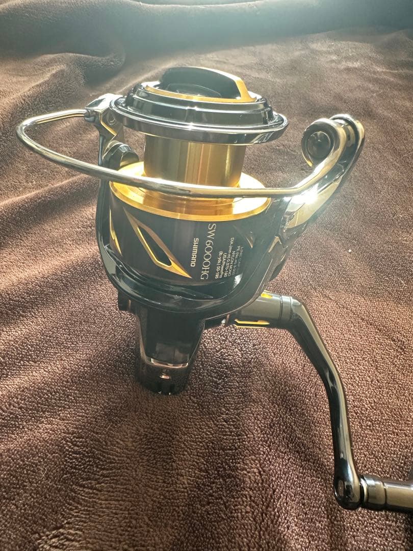 20ステラSW 6000HG シマノ　送料込