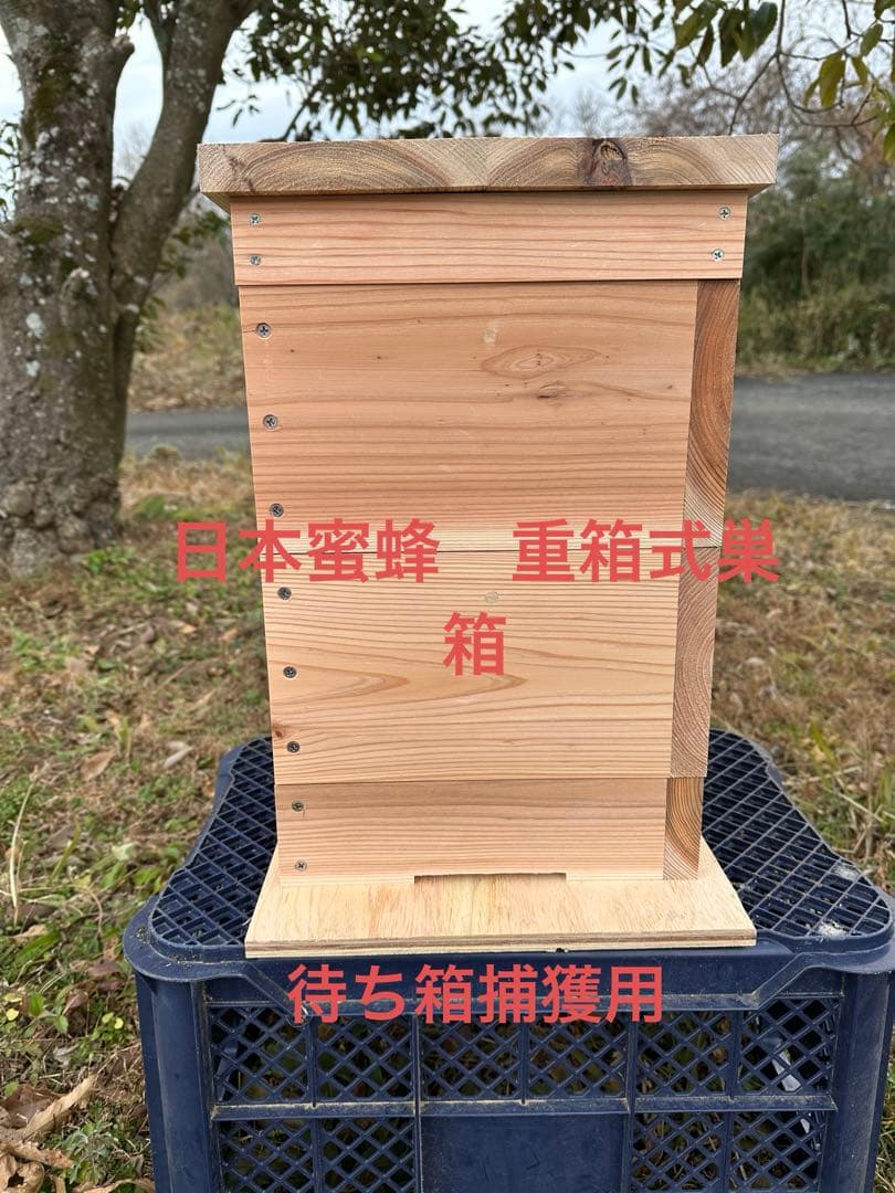 日本ミツバチ重箱式巣箱　飼育捕獲用