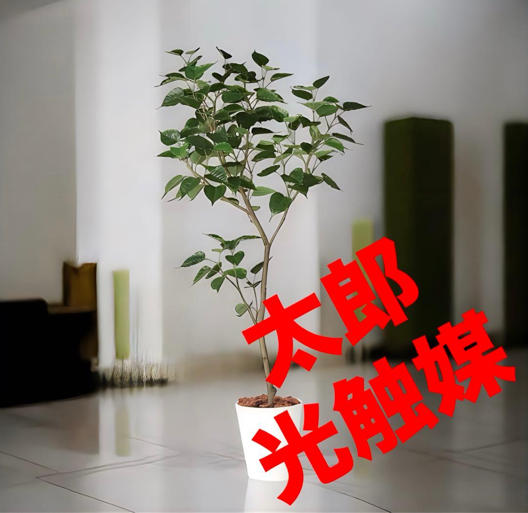 光触媒　人工観葉植物　ウォールグリーン　フェイクグリーン　ボダイジュ180