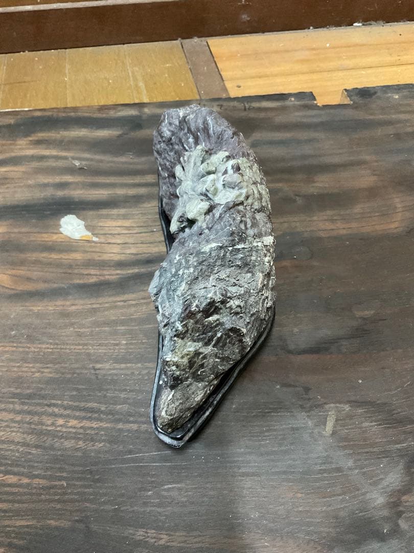 根尾川産　菊花石　極上品　天然石　台座付き。【インテリアに最適だと思います】。