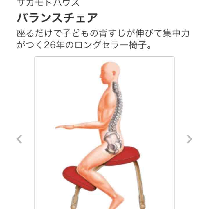 しばらくお休みしますm(__)mバランスチェア 2脚セット 通販生活