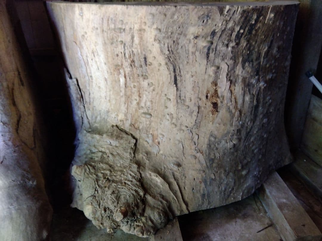 欅天然木の丸太　インテリア用