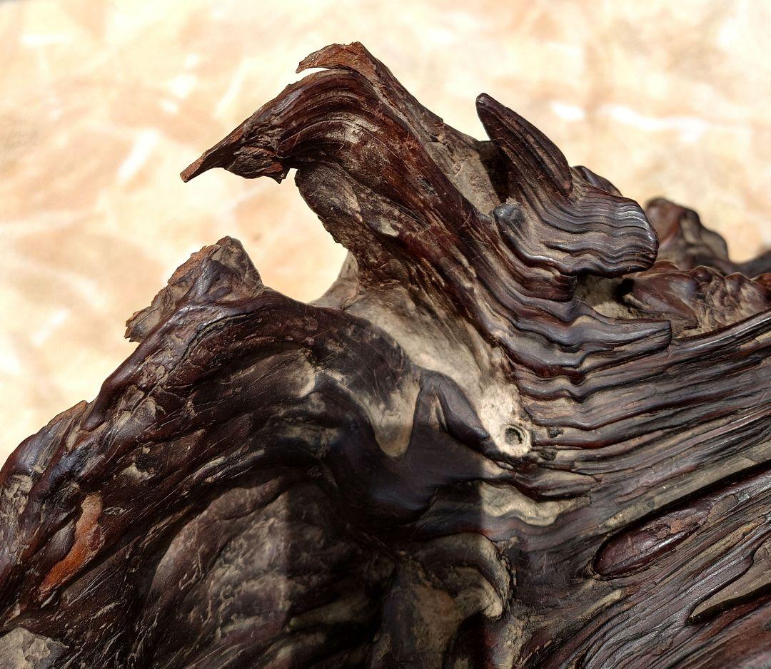 天然木根瘤 自然造形花器 置物 鑑賞木 瘤木 木のオブジェ 根木台 飾台 木目