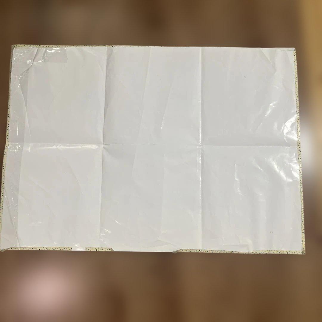 プロフ確認　ペッピーキッズクラブ モラモラi 英語教材 多機能音声機器