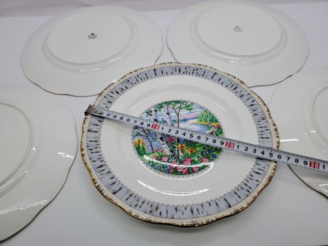 ②ロイヤル アルバート Silver Birch プレート　大皿　5枚　26cm