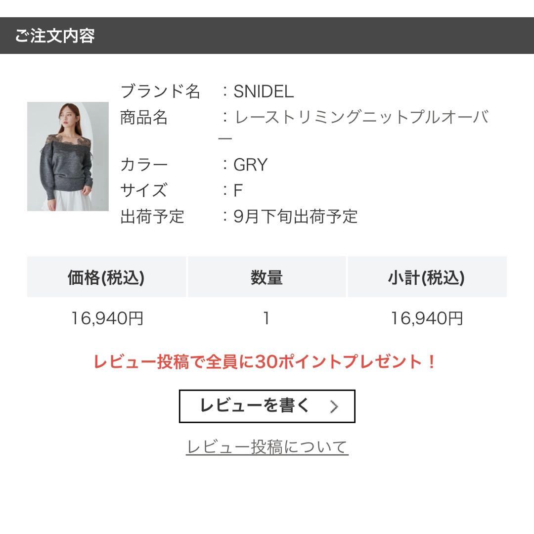 わんさん専用