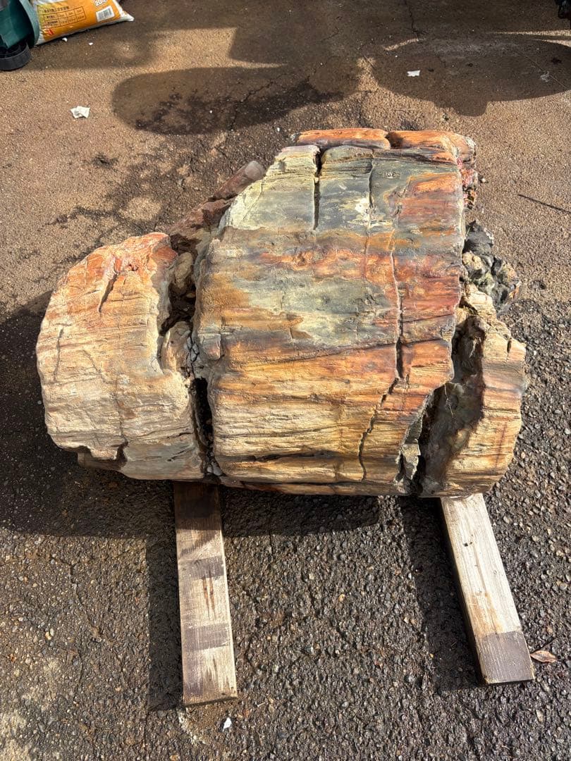 天然木化石 丸太状原石 庭石 観賞石 オブジェ 80cm級