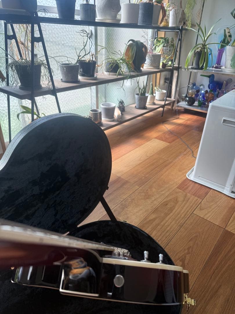 GRETSCH G6119-62HT 2010年製Tennessee Rose