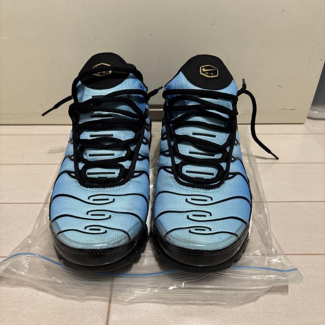靴 Nike air max plus 26cm