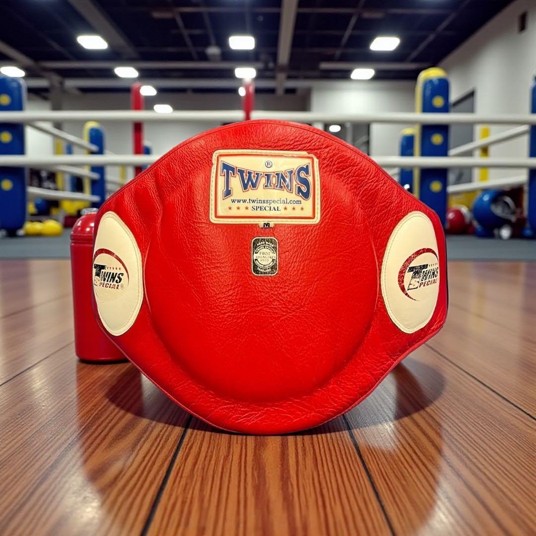 TWINSボディーミット　キック打撃練習　格闘技