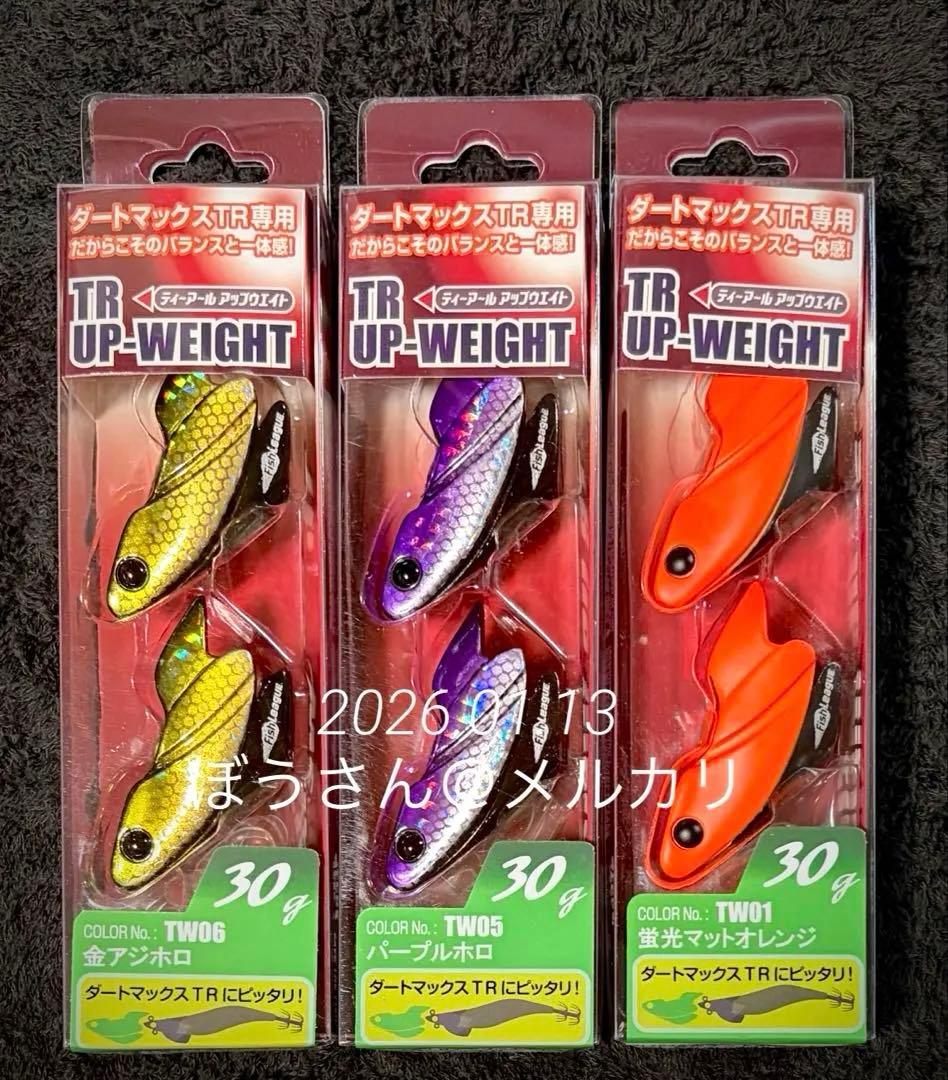 エギリー　ダートマックスTR 専用アップウェイト 30g 3色セット　新品未使用